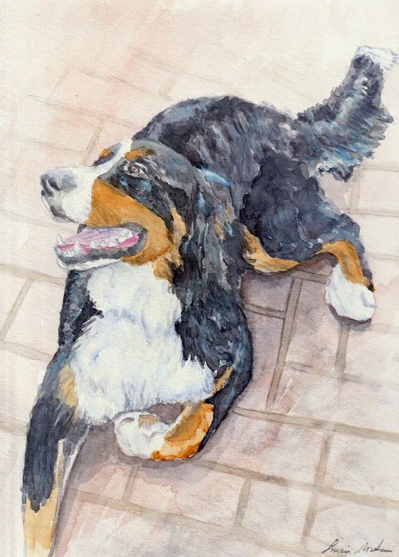 574x800 Bernese Mountain Dog - Bernese Mountain Dog Watercolor