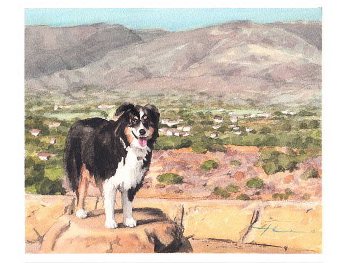 710x536 Bernese Mountain Dog Southwest Watercolor By Mike Theuer - Bernese Mountain Dog Watercolor