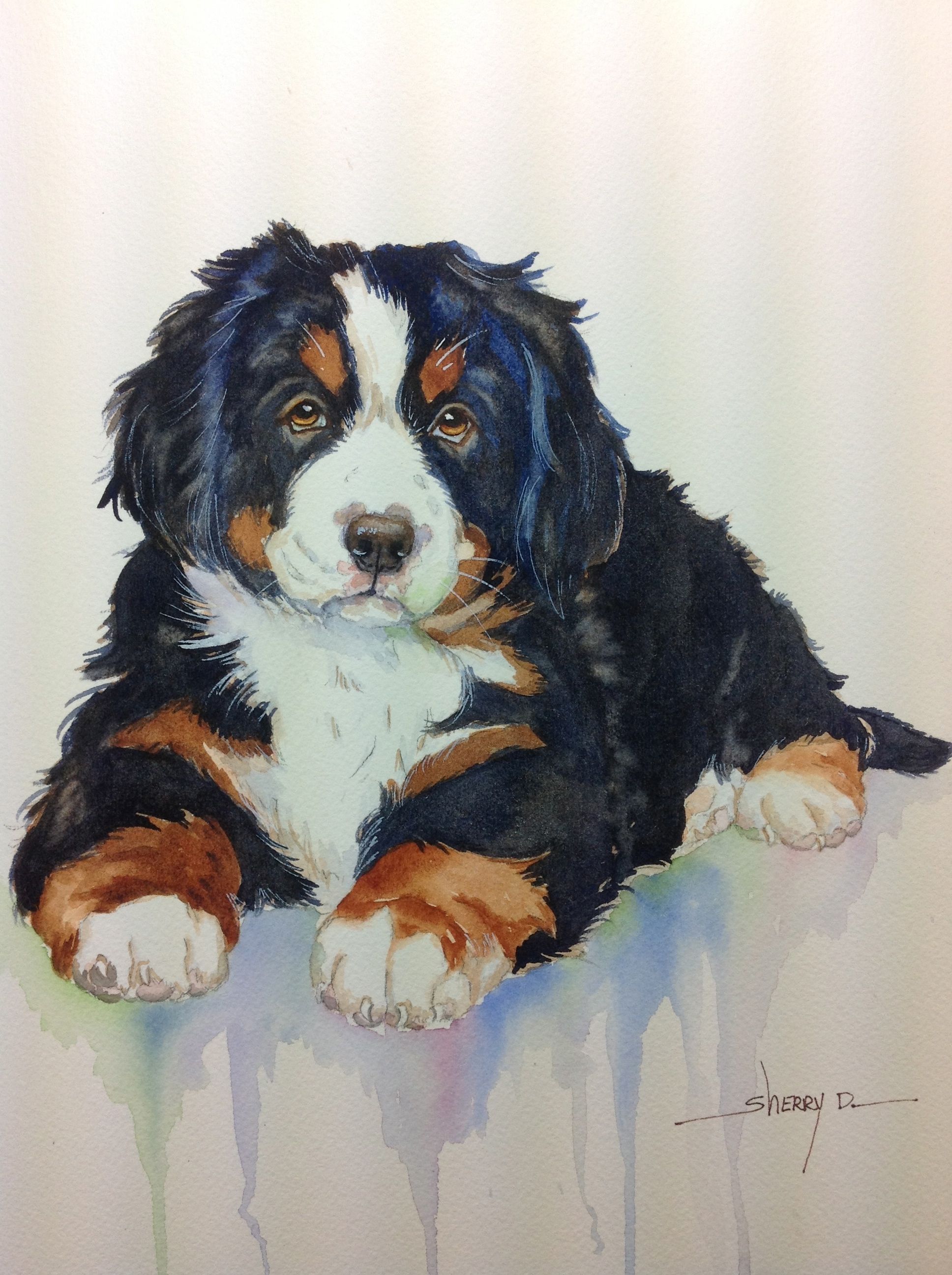 1936x2592 Custom Painted Dog And Pet Watercolor Portraits - Bernese Mountain Dog Watercolor