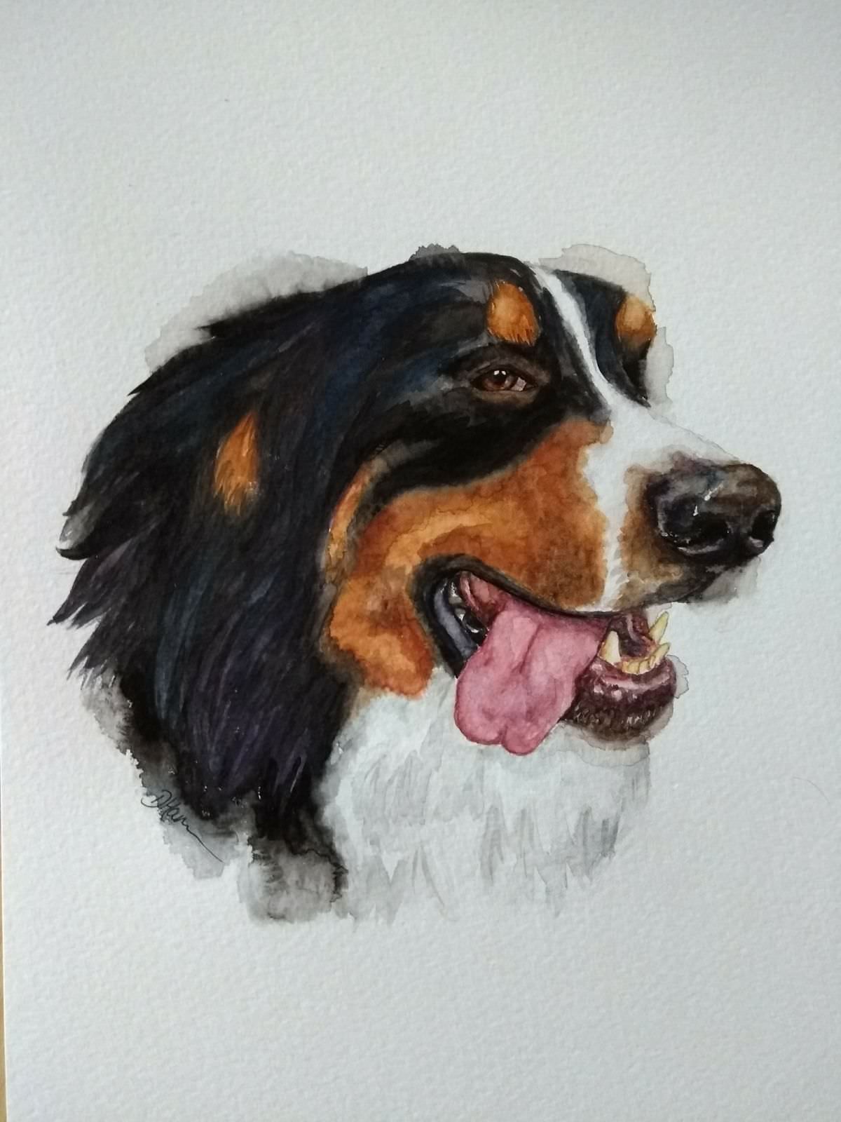 1200x1600 Merlin The Bernese Mountain Dog, Watercolour, 6x6 Painting - Bernese Mountain Dog Watercolor