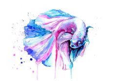 236x166 Fish Painting Paintings By Ti Watercolor - Betta Fish Watercolor