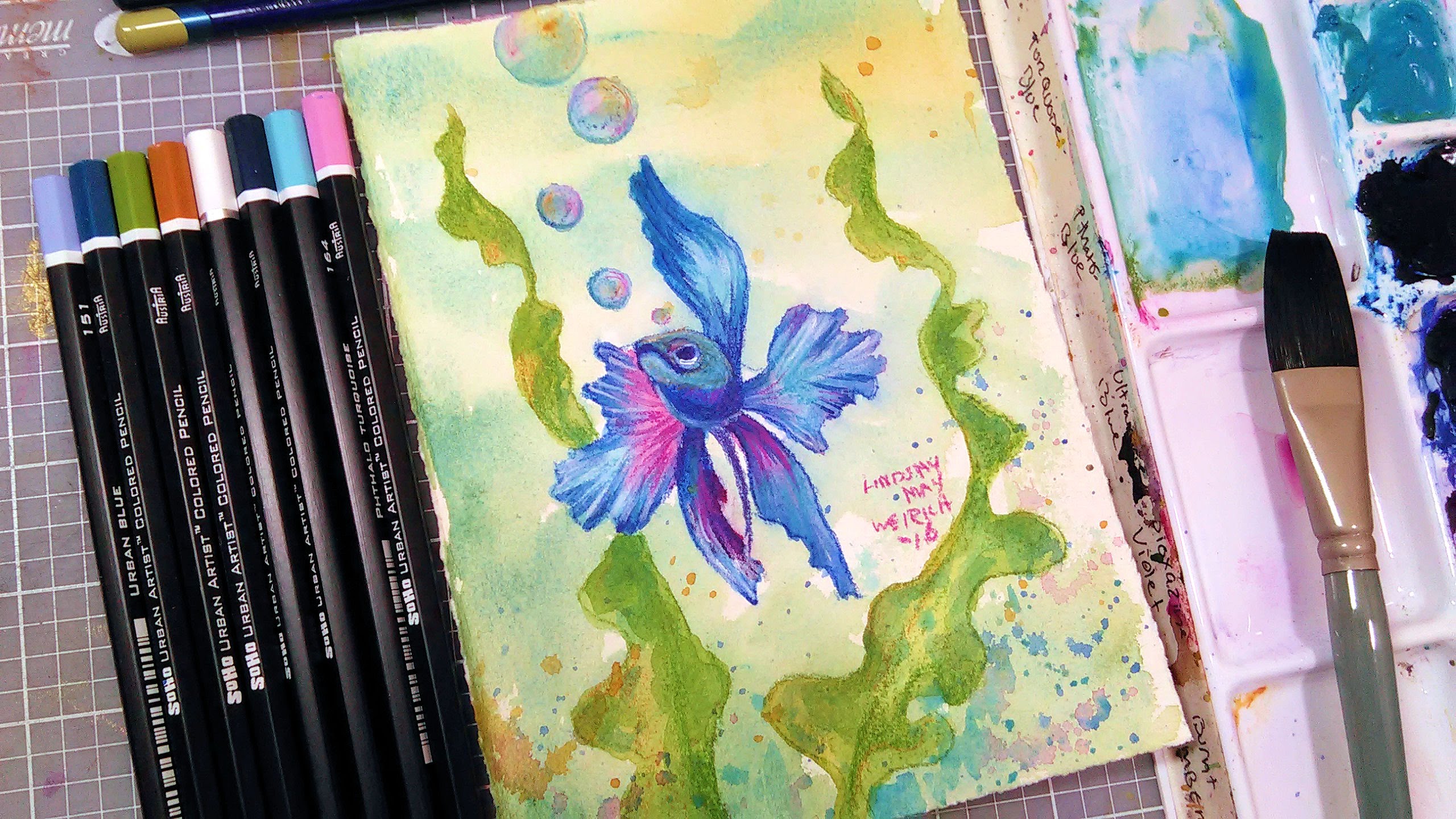 2560x1440 Live Betta Fish Watercolor Amp Colored Pencil Tutorial - Betta Fish Watercolor
