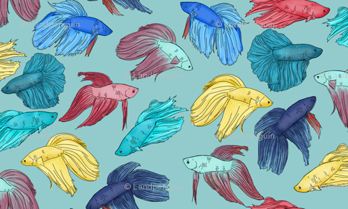500x300 Watercolor Betta Fish On Light Blue Wallpaper - Betta Fish Watercolor