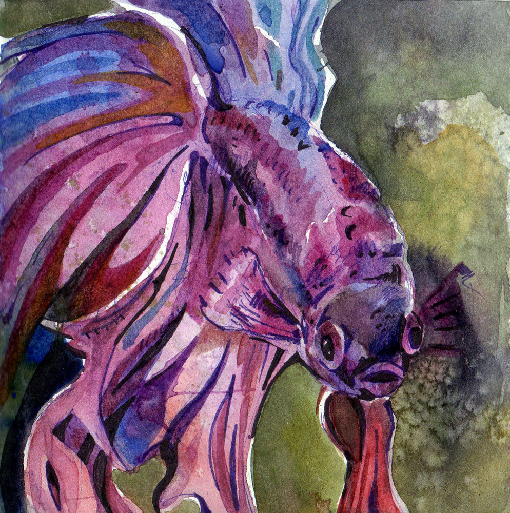 994x1000 Watercolor Painting Of Fish - Betta Fish Watercolor