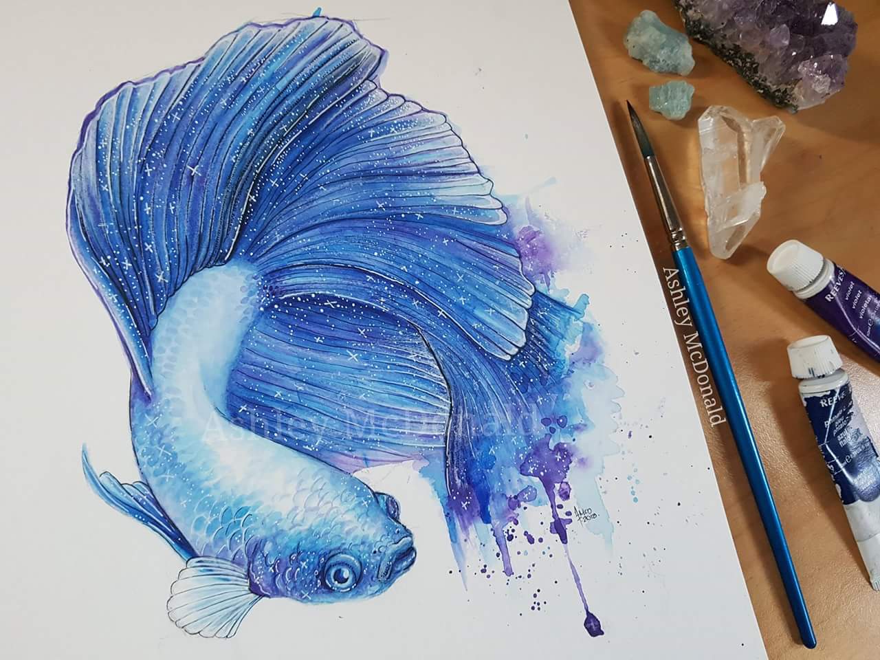 1280x960 Galaxy Betta Fish (Age 18) Watercolor - Betta Watercolor