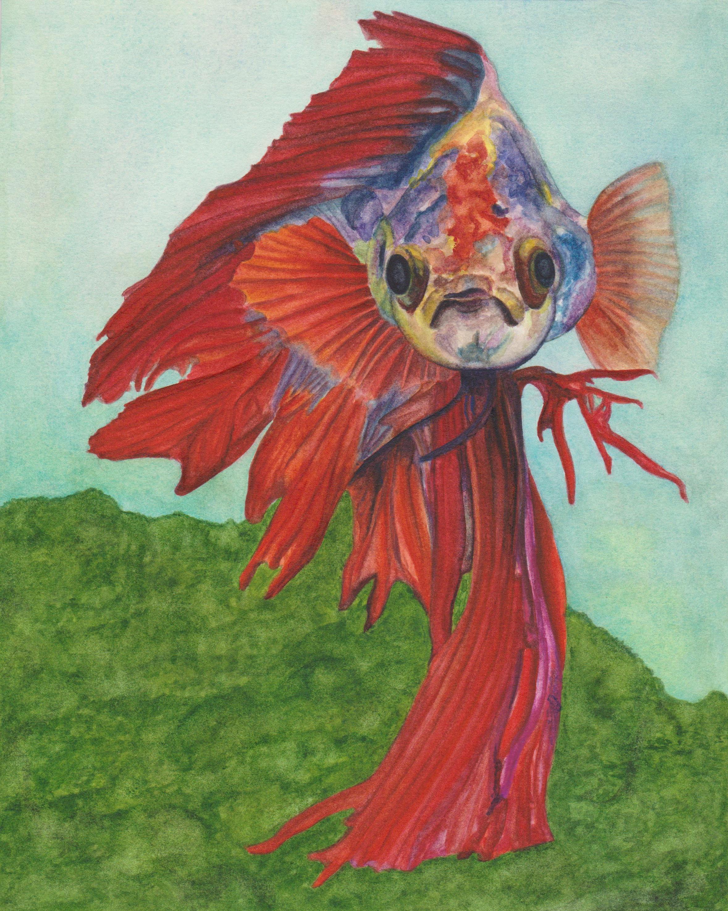 2357x2951 Gossamer Lane Fine Art Betta Siamese Fighting Fish Watercolor Painting - Betta Watercolor
