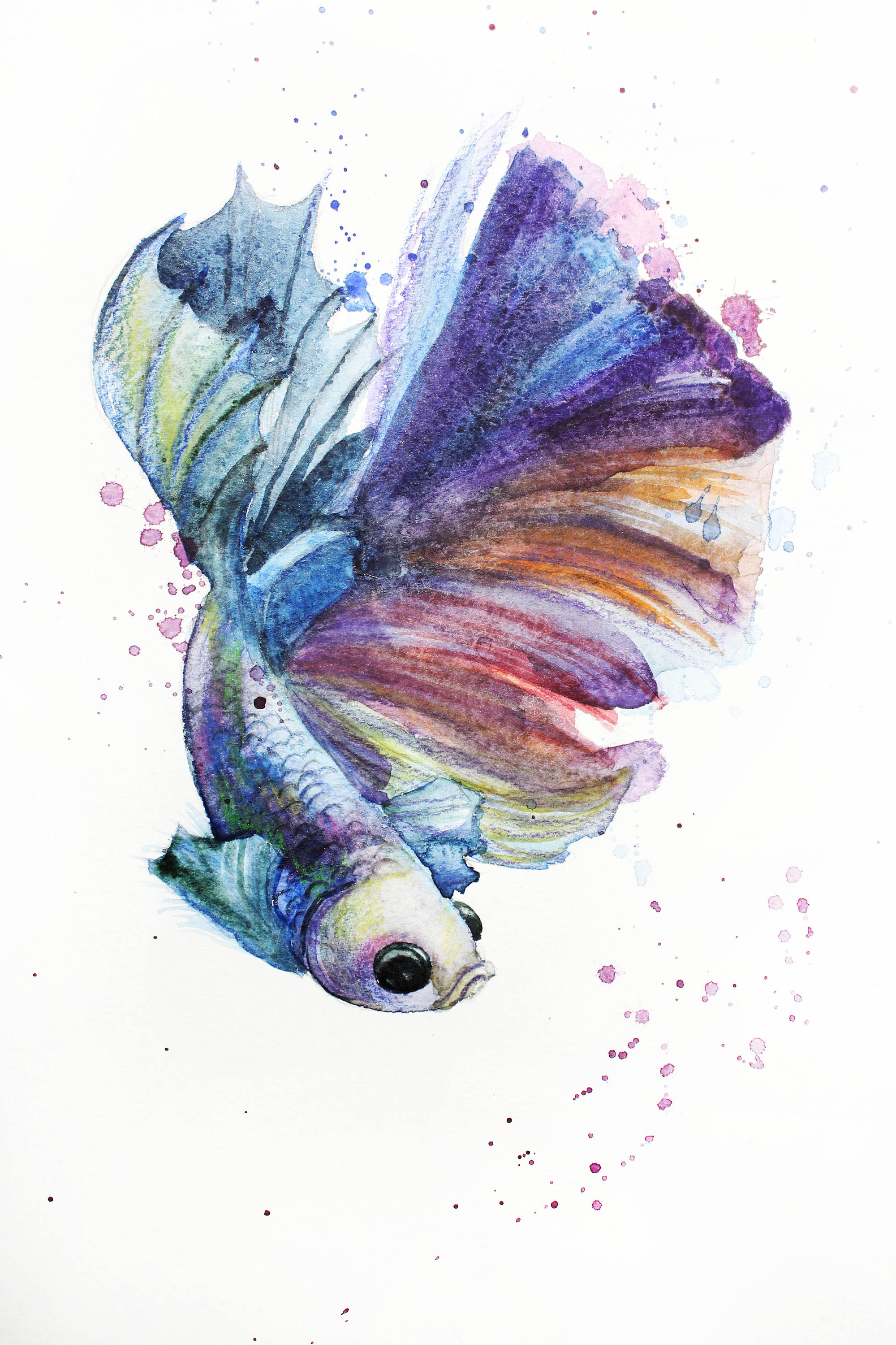 2000x3000 Print Of Watercolor Fish Illustration Fish Betta Art Betta Etsy - Betta Watercolor