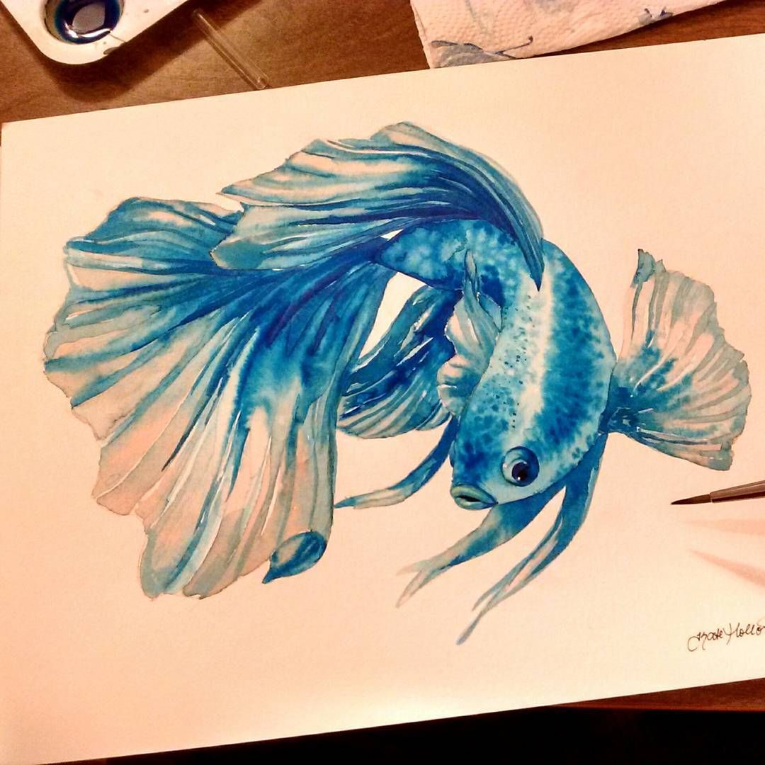 1080x1080 Pin By Kate Holloman On Inspirational Watercolors - Betta Watercolor