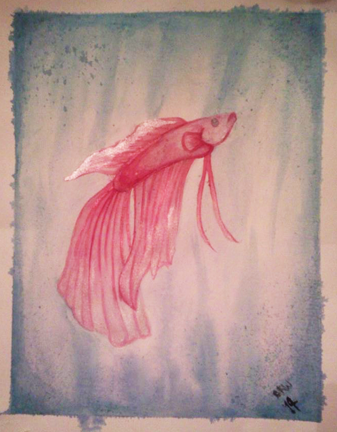659x845 Watercolor Betta By Dracosderpyhoof - Betta Watercolor