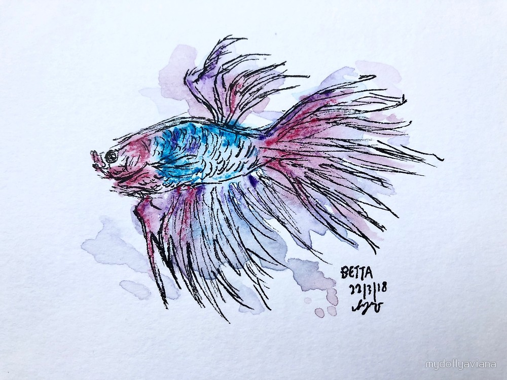 1000x750 Watercolour Betta By Mydollyaviana Redbubble - Betta Watercolor