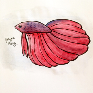 320x320 Betta Drawings On Paigeeworld. Pictures Of Betta - Betta Watercolor
