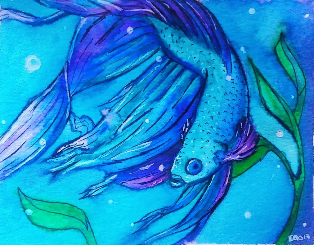 1012x790 Betta Watercolor By Papermuse - Betta Watercolor