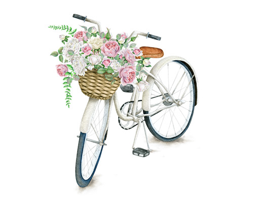 509x393 Watercolor Bicycle And Flowers On Behance - Bicycle Watercolor