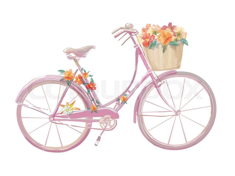 800x599 Watercolor Illustration Of A Pink Bicycle With Flowers, Vector - Bicycle Watercolor