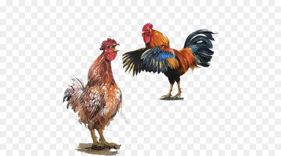 900x500 Chicken Watercolor Painting - Big Watercolor