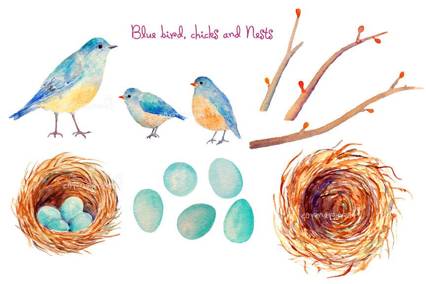 864x576 Hand Painted Watercolor Birds - Bird Nest Watercolor