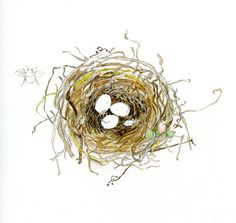 236x223 Nest Painting. Gorgeous. Art Nest Nest, Bird And - Bird Nest Watercolor