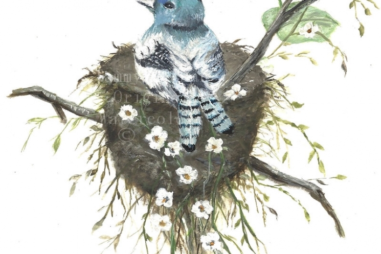 745x497 Original Watercolor Painting Archival Print, Protecting The Nest - Bird Nest Watercolor