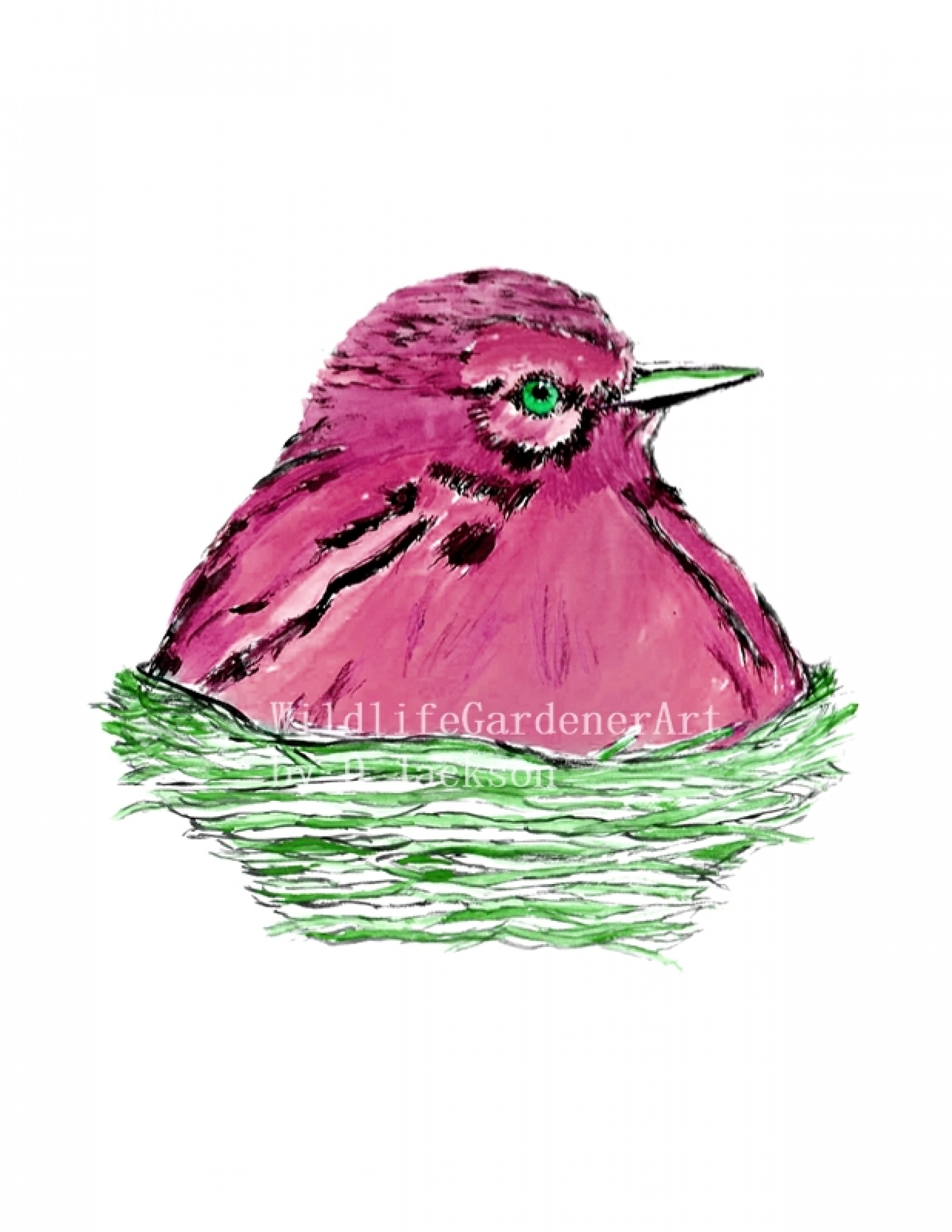1600x2071 Pink Bird In Nest Watercolor Art Print Wildlife Gardener Art - Bird Nest Watercolor