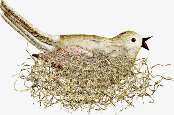 600x396 Watercolor Birds, Watercolor Clipart, Hand Painted, Bird Nest Png - Bird Nest Watercolor