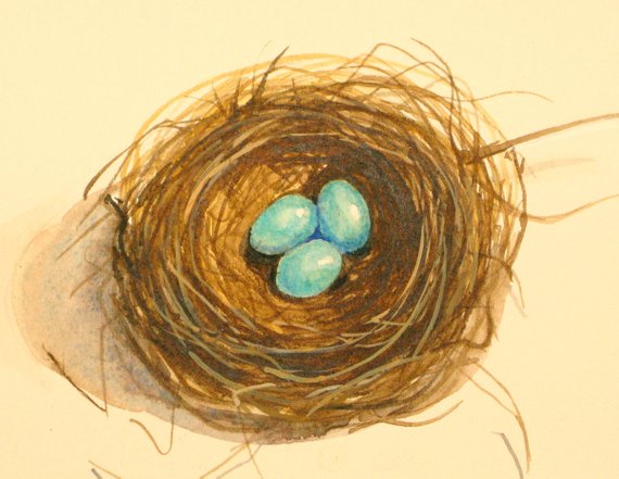 570x441 Tiny Bird Nest Original Watercolor Painting 3 Egg Nest Robins Etsy - Bird Nest Watercolor