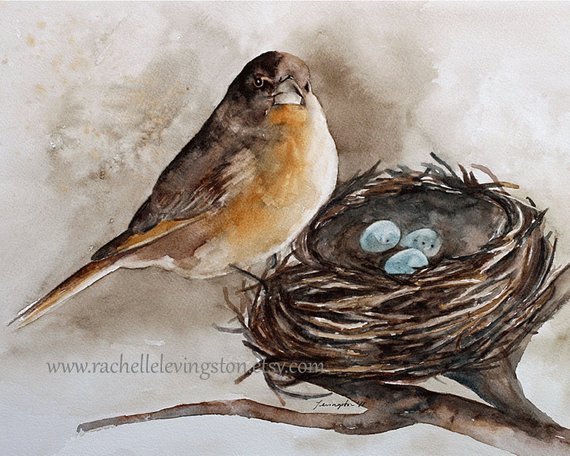 570x456 Watercolor Painting Bird Nest Print Bird Painting Beige Wall Etsy - Bird Nest Watercolor