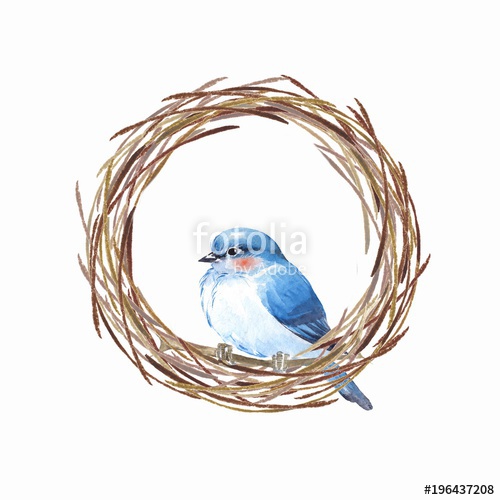 500x500 Bird And Nest. Watercolor Painting Stock Photo And Royalty Free - Bird Nest Watercolor