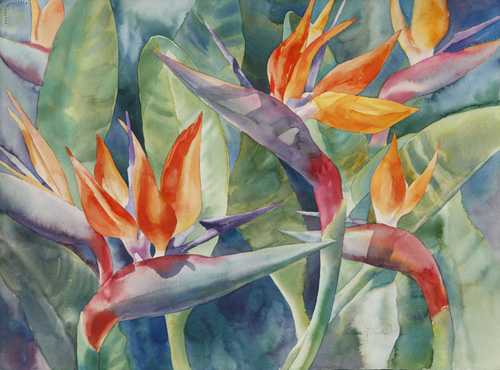 500x370 Birds Of Paradise @ Watercolors By Diane K. Smith - Bird Of Paradise Watercolor