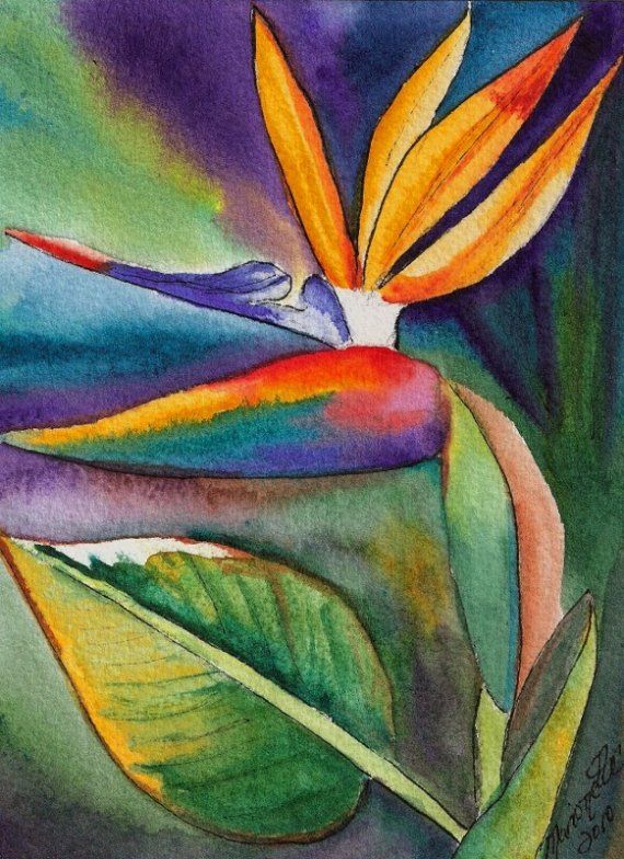 570x784 Mini Bird Of Paradise Original Watercolor From Kauai Hawaii - Bird Of Paradise Watercolor