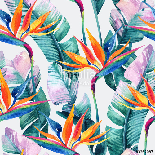 500x500 Watercolor Tropical Seamless Pattern With Bird Of Paradise Flower - Bird Of Paradise Watercolor
