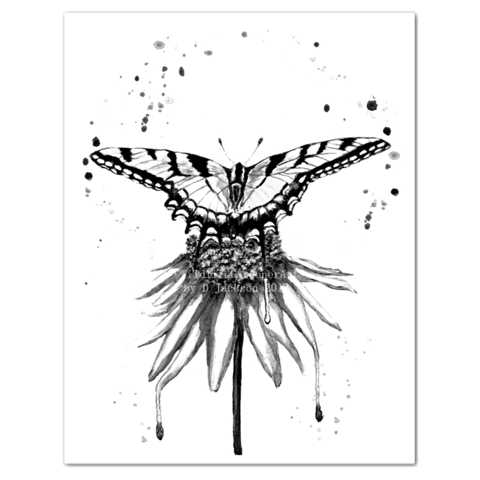 1600x1600 Black And White Butterfly On Flower Monochromatic Watercolor Art - Black And White Watercolor
