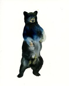 Black Bear Watercolor