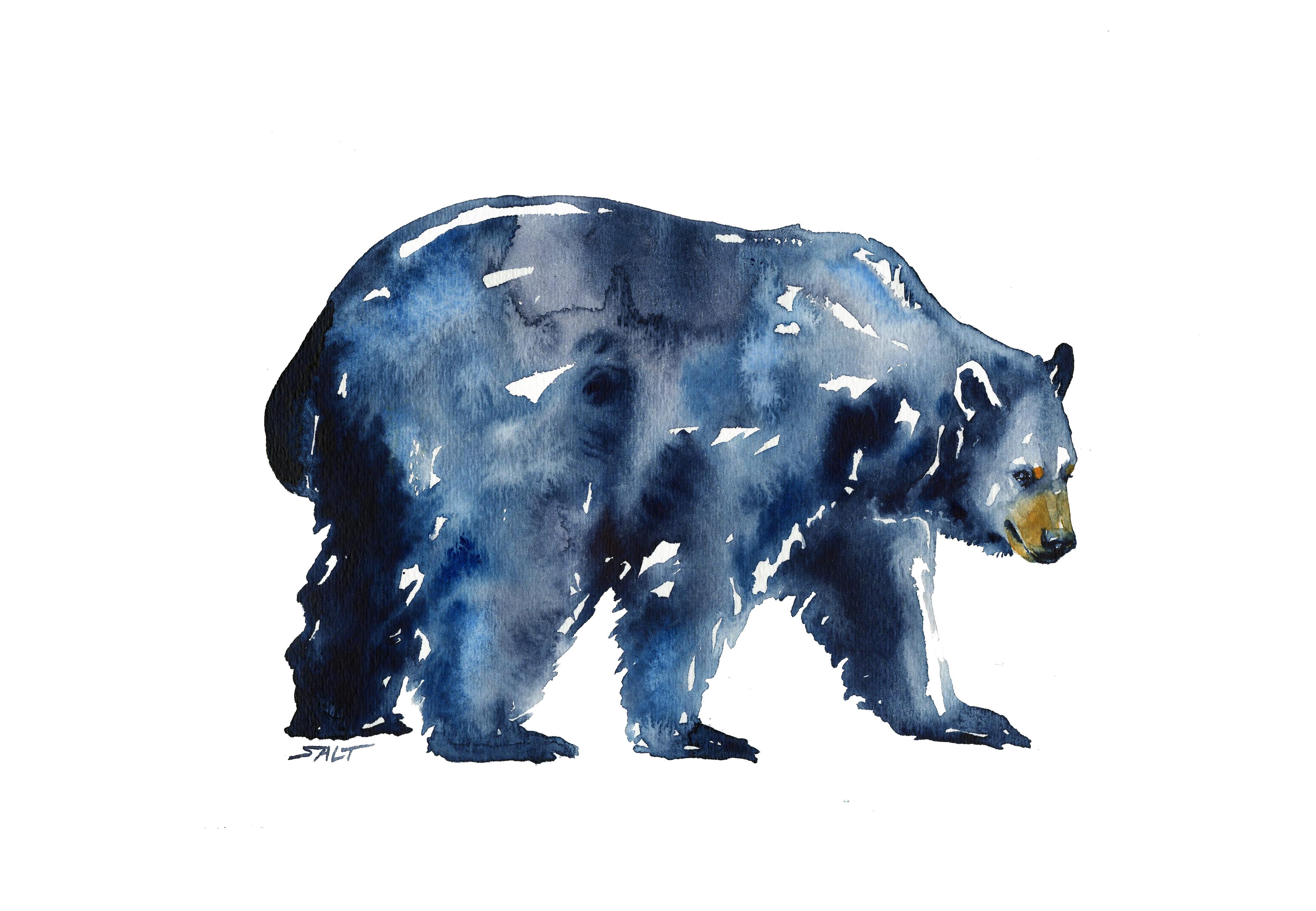 3900x2700 Black Bear, Watercolor, 9x12 Art - Black Bear Watercolor