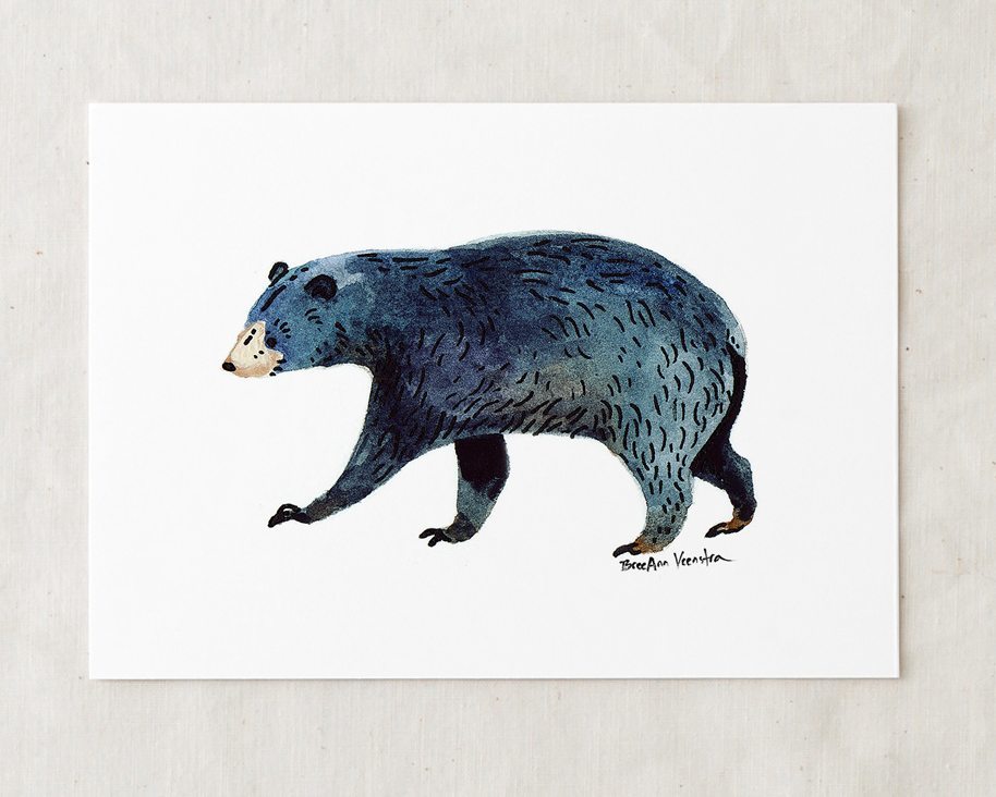 914x732 Black Bear Art Print Wildship Studio - Black Bear Watercolor