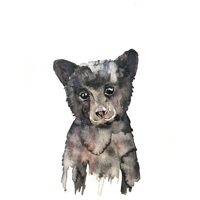 640x640 Black Bear Cub Watercolor - Black Bear Watercolor