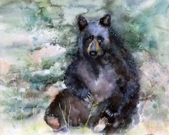 570x456 Black Bear Giclee Print Watercolor Home By Northernreexposure My - Black Bear Watercolor
