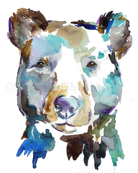570x713 Black Bear Watercolor Portrait Print Bear Painting Etsy - Black Bear Watercolor