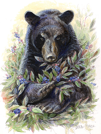 350x463 Black Bear Wildlife Note - Black Bear Watercolor