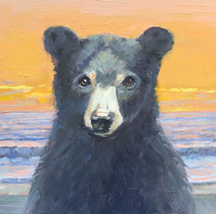 750x745 Nancy Bass - Black Bear Watercolor