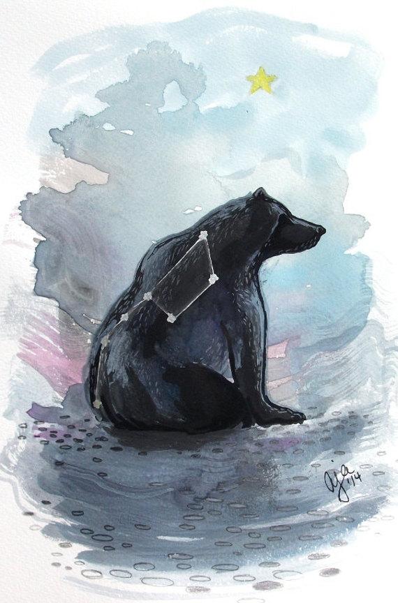 570x864 Ursa Major - Black Bear Watercolor