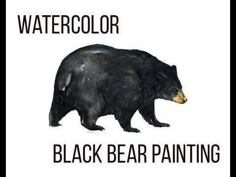 480x360 Watercolor Speed Paint Black Bear Paintingrush Painting - Black Bear Watercolor