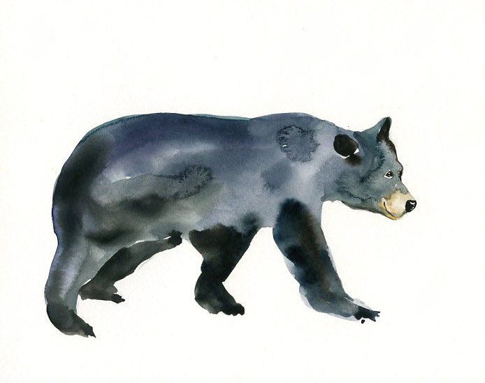 694x549 Black Bear Original Watercolor Painting 10x8inch Bear Art - Black Bear Watercolor