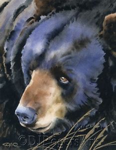 233x300 Black Bear Watercolor 8 X 10 Wildlife Art Print Signed By Artist - Black Bear Watercolor
