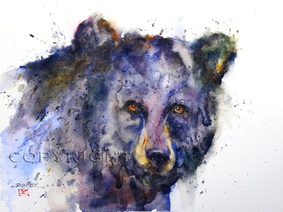 570x428 Black Bear Watercolor Art Print By Dean Crouser Etsy - Black Bear Watercolor