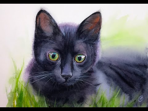 480x360 Black Cat In Watercolors Painting Demonstration - Black Cat Watercolor