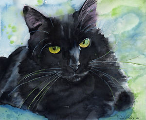 300x247 Giclee Print Black Cat Watercolor Painting Art Long Hair Pet - Black Cat Watercolor