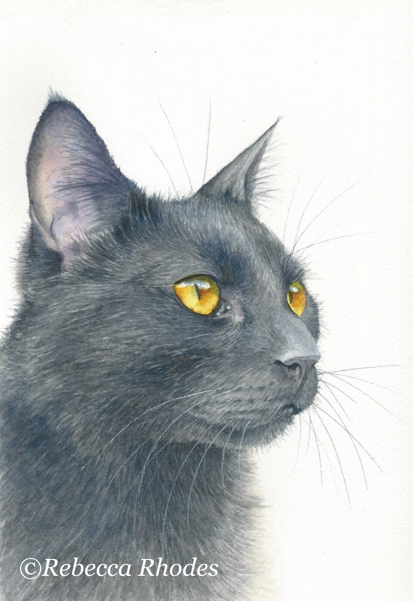 1344x1956 How To Paint A Black Cat In Watercolor - Black Cat Watercolor