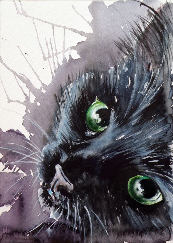 735x1034 Drawn Grumpy Cat Water Paint - Black Cat Watercolor Paintings