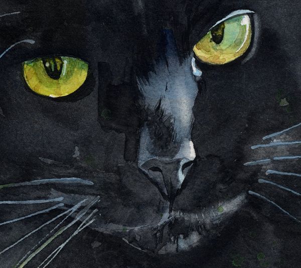 600x534 Giclee Print Black Cat Watercolor Painting Art Long Hair Pet - Black Cat Watercolor Paintings