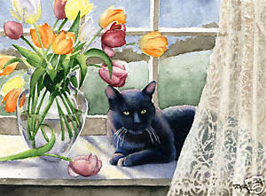 300x221 Black Cat Tulips Cat Watercolor 8 X 10 Art Print Signed Dj Rogers - Black Cat Watercolor Paintings